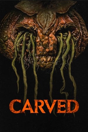 Watch Where to Watch: Carved (2024) Streaming