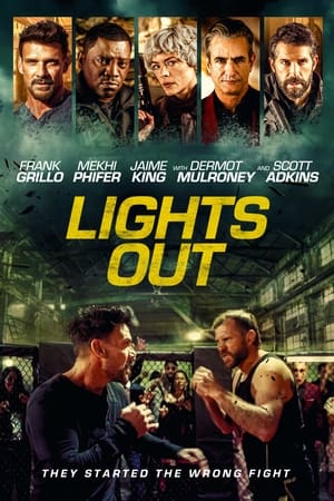 Watch Where to Watch: Lights Out (2024) Streaming