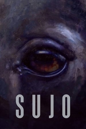 Watch Where to Watch: Sujo (2024) Streaming