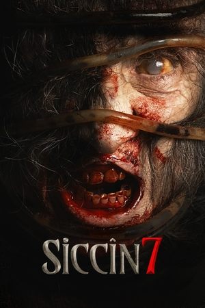 Watch Where to Watch: Sijjin 7 (2024) Streaming