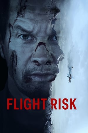 Watch Where to Watch: Flight Risk (2025) Streaming